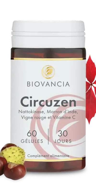 Circuzen