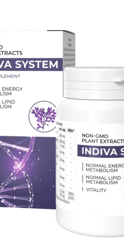 InDiva System