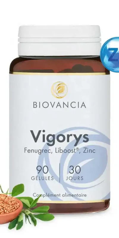 Vigorys